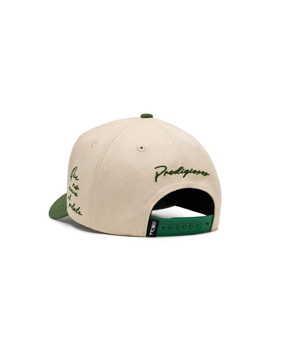 PATATERA