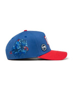 TEAM RUBITOS BLUE