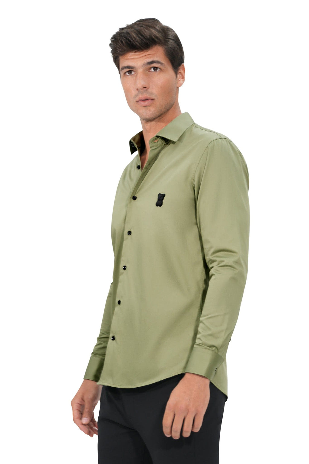 LEONARDO-OLIVE